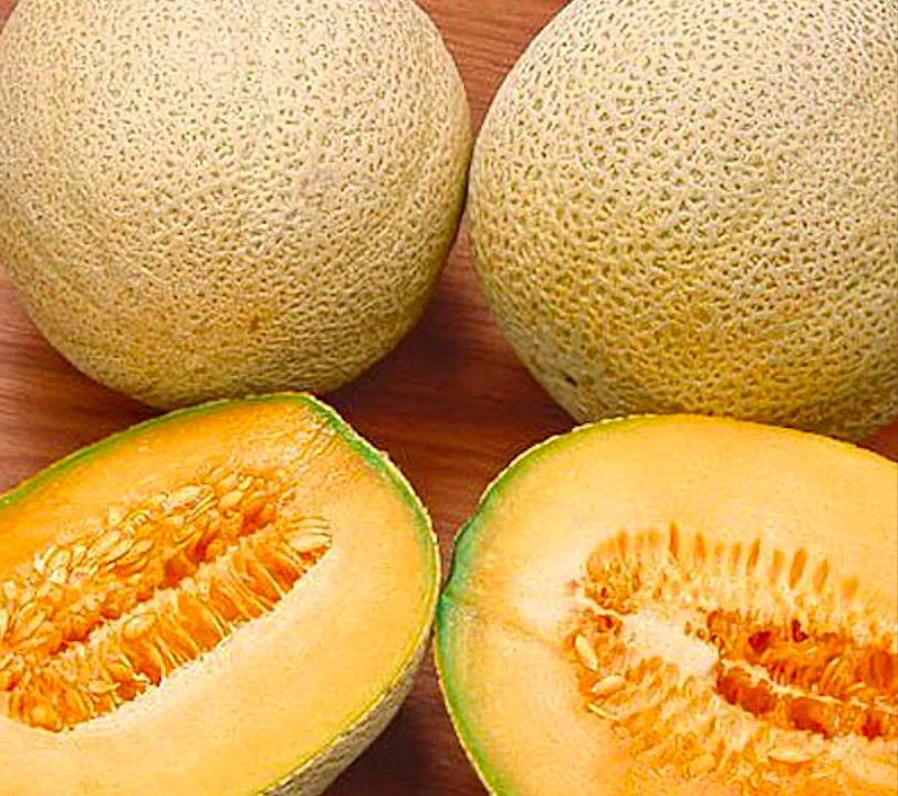 Iroquois Cantaloupe Seeds Sweet Aromatic Melon Early Producer Market Or Home 