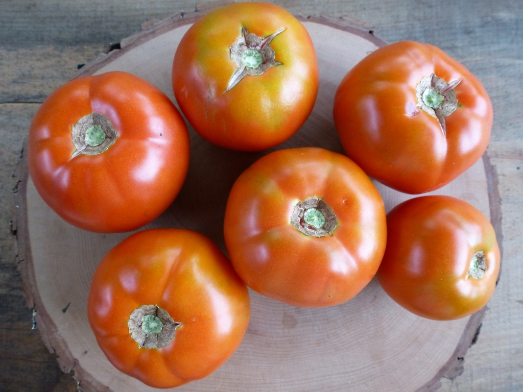 Thessaloniki Tomato: A Early-Maturing Variety With Good Production and Flavor